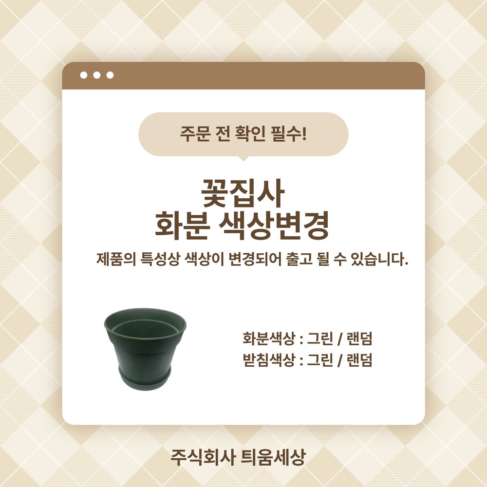 꽃집사(비올라)_상세1.jpg