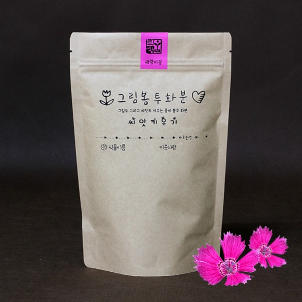 그림봉투화분(패랭이꽃)