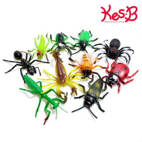 소프트곤충10종