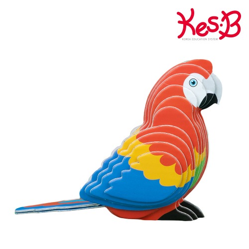 팝피입체만들기앵무새