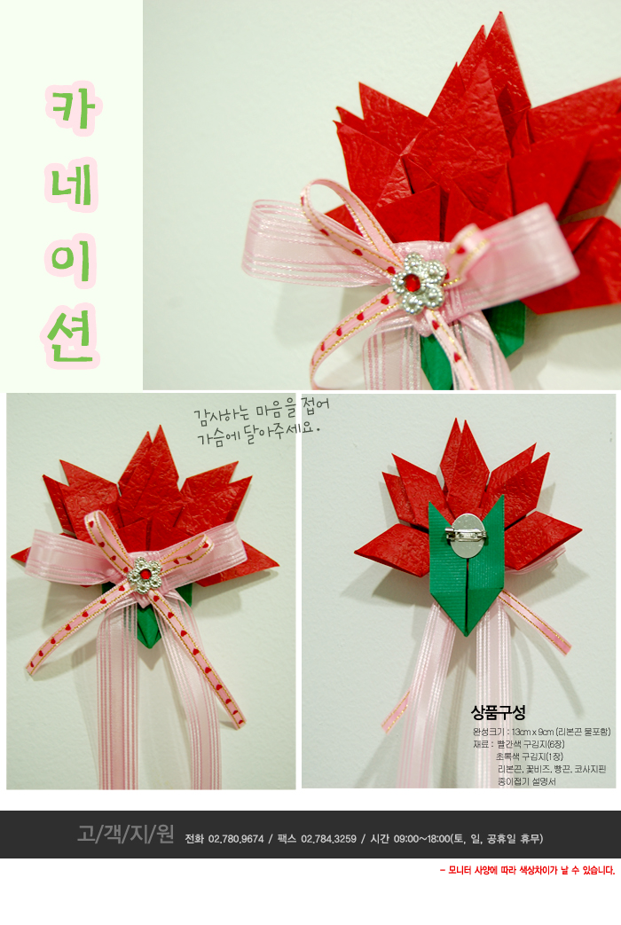 카네이션_감성_상세1.jpg