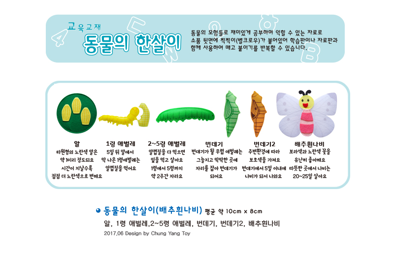 동물의한살이_배추흰나비_상세1.jpg