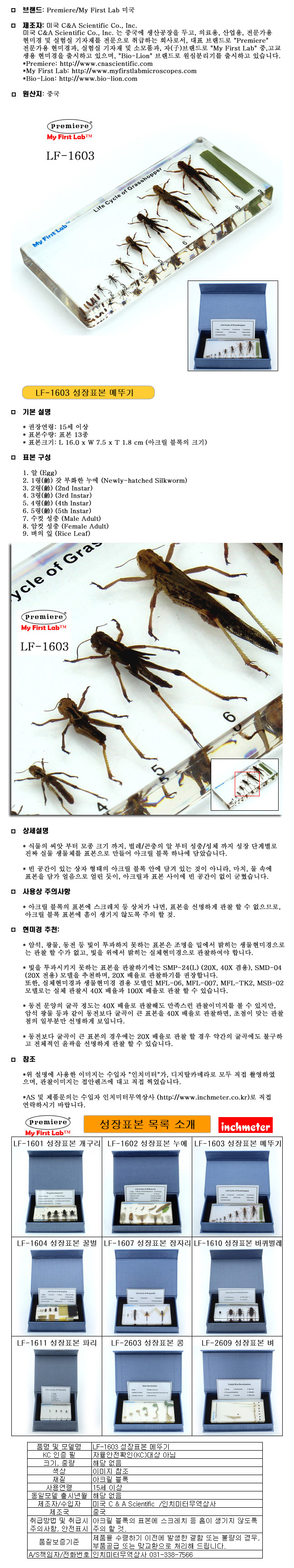 성장표본_메뚜기_LF-1603_상세1.jpg