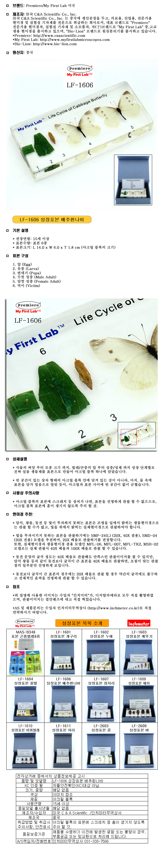 성장표본_배추흰나비_LF-1606_상세1.jpg