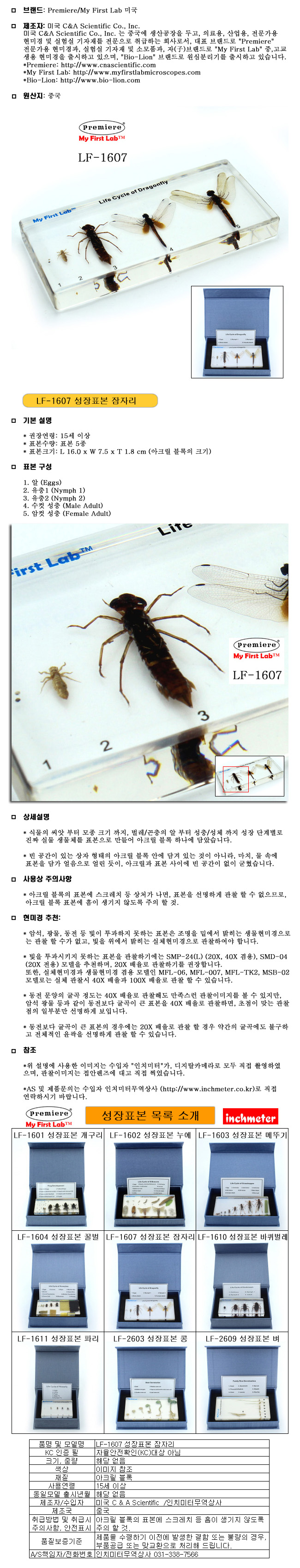 성장표본_잠자리_LF-1607_상세1.jpg