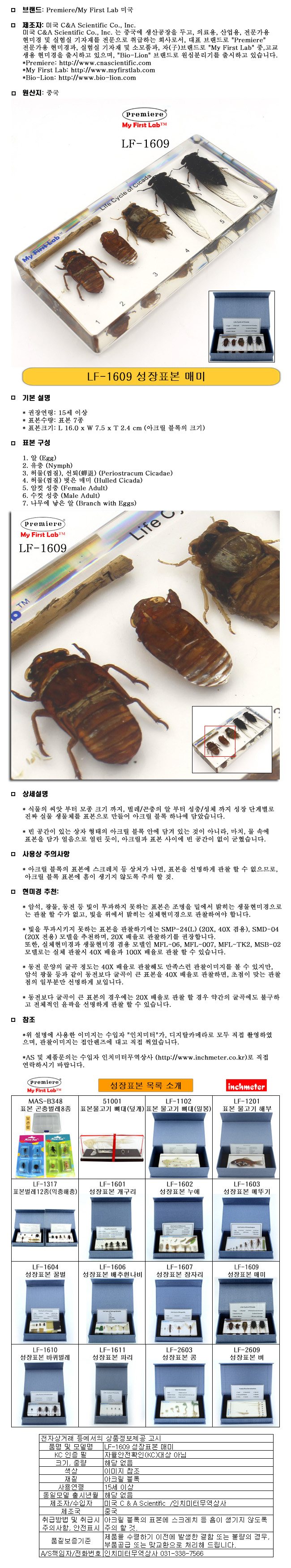성장표본_매미_LF-1609_상세1.jpg