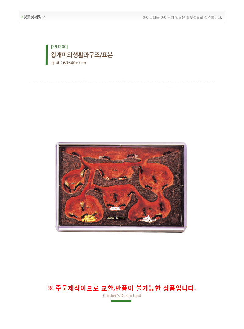 개미의생활과구조_표본_jo-1046_상세1.jpg