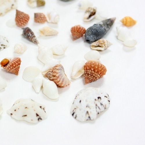 소형조개종합재료-7가지묶음