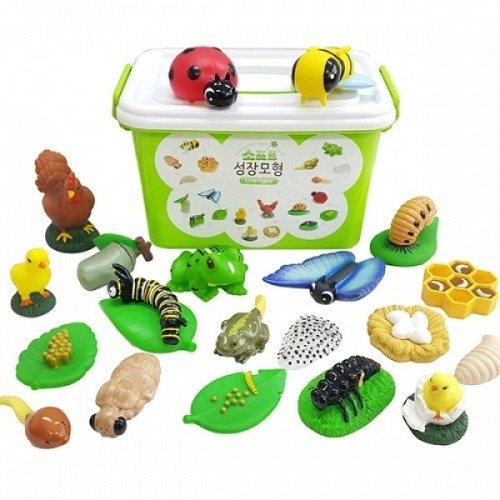 소프트성장모형(성장모형놀이20PCS+정리함)