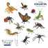 컬렉타교육세트베스트곤충/거미/지네12종