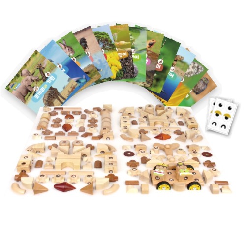 키즈생태에드블록