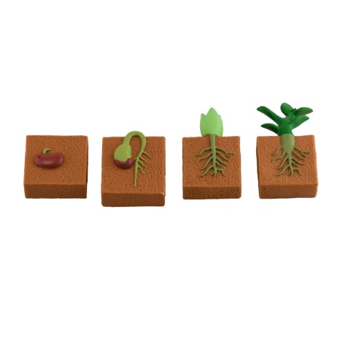 위대한탄생-식물