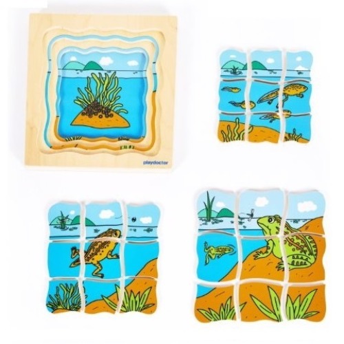 성장겹퍼즐-개구리