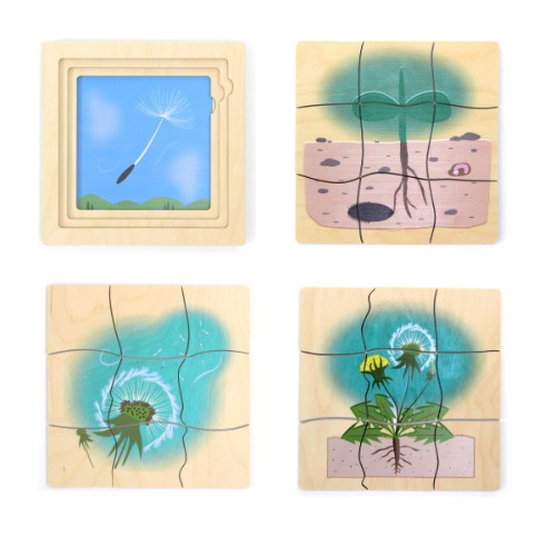 학습겹퍼즐-민들레