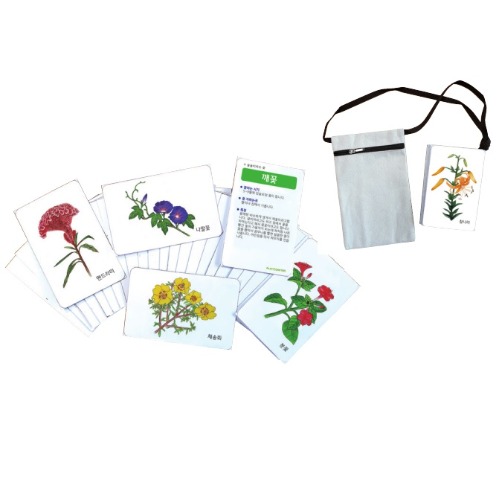 자연그림카드-우리나라의꽃24