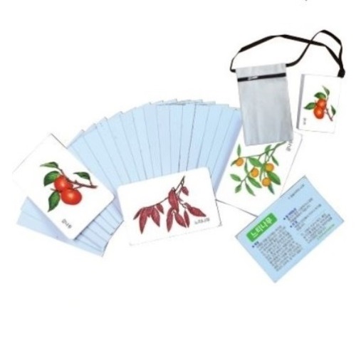 자연그림카드-우리나라의나무24